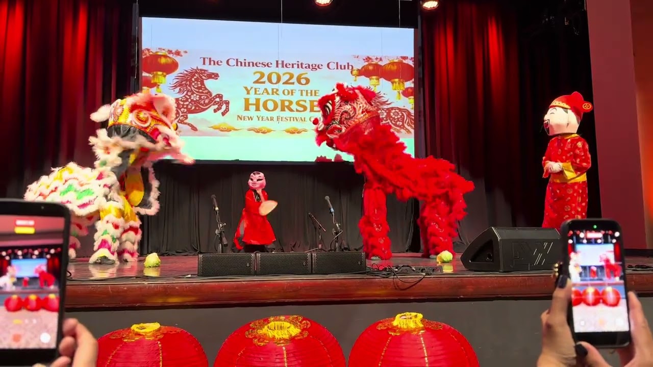 Lion Dance celebrating the new year - Las Vegas Hung Ching Inc. #hockeytiki #liondance @HockeyTiki 