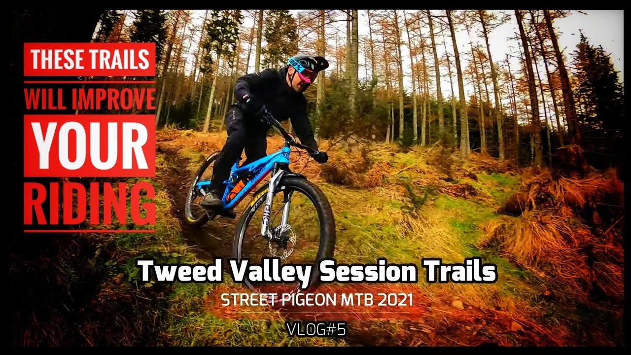 Tweed Valley Gold | Ultimate Session Trails!