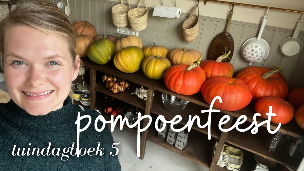 De pompoenoogst! Wat je zaait, oogst je :-) - TUINDAGBOEK #5