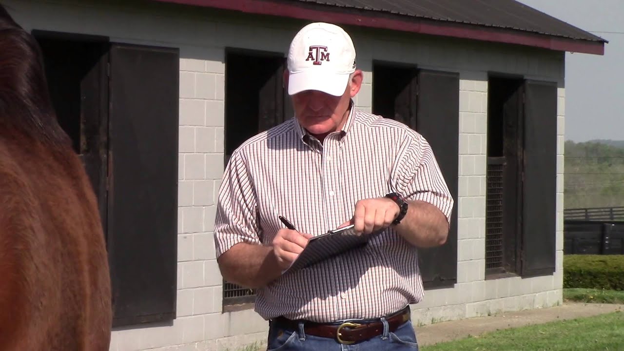 Inside Yearling Sales Prep: Nutrition