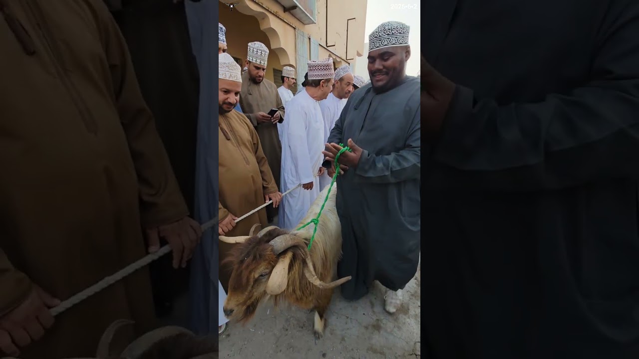 2▪︎6▪︎2025م هبطة العيد سوق حبراء ولاية وادي المعاول