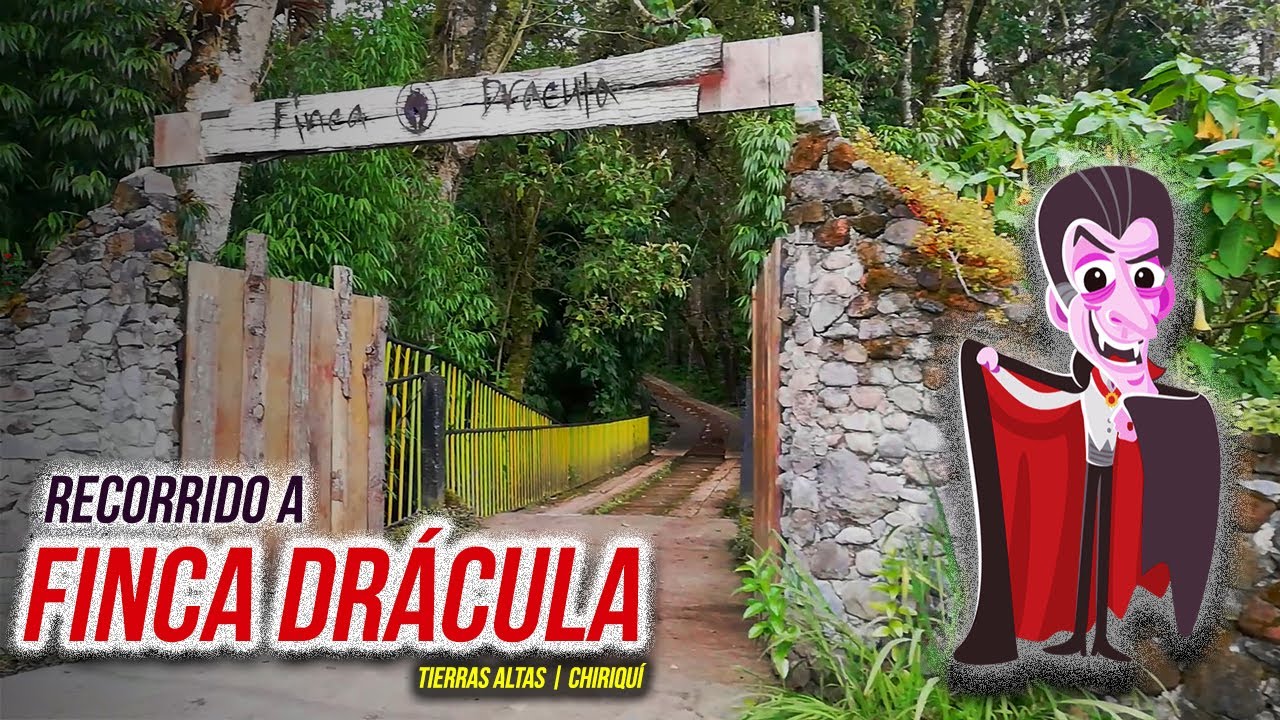 FINCA DRÁCULA | TIERRAS ALTAS CHIRIQUI PANAMÁ | Hill Hiking