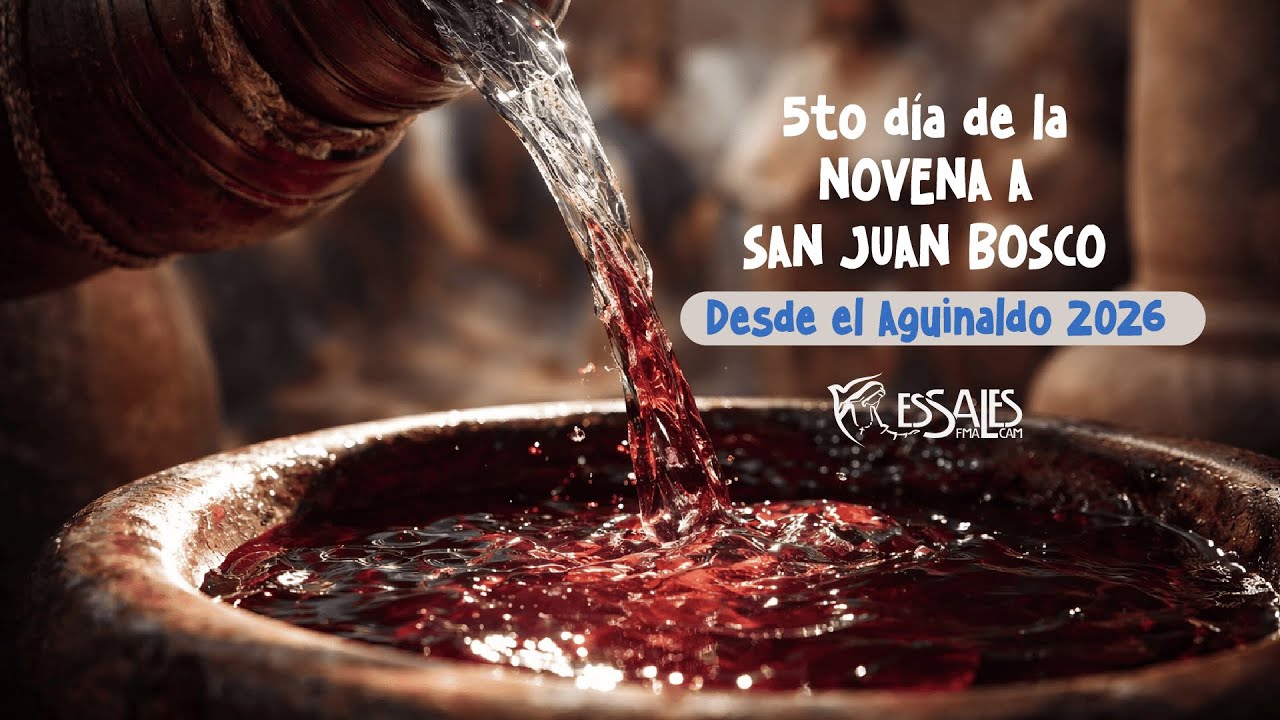 Novena en Honor a San Juan Bosco 2026: 5to día - ESSALES
