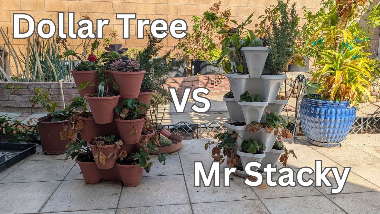 Dollar Tree Stacker vs Mr. Stacky: Side-by-Side Comparison