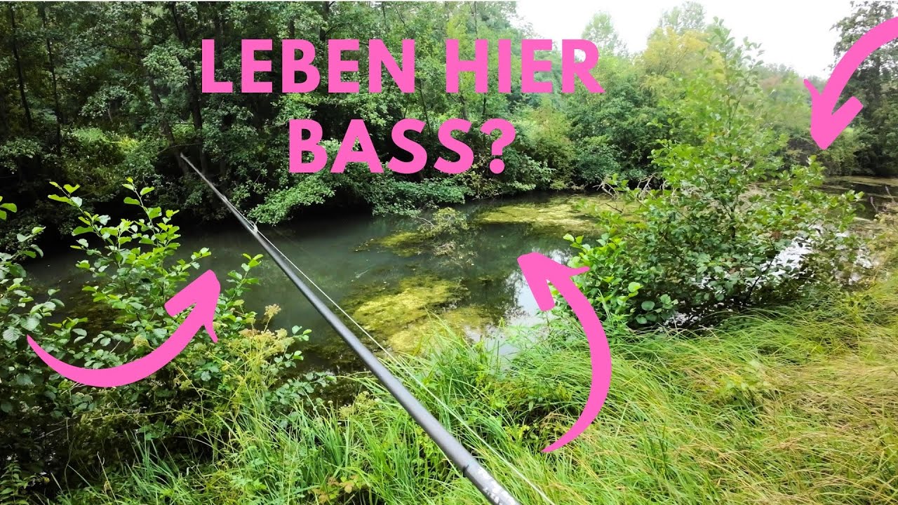 Spinnfischen in Frankreich  - La Route de BLACK BASS - Angeln auf Schwarzbarsch