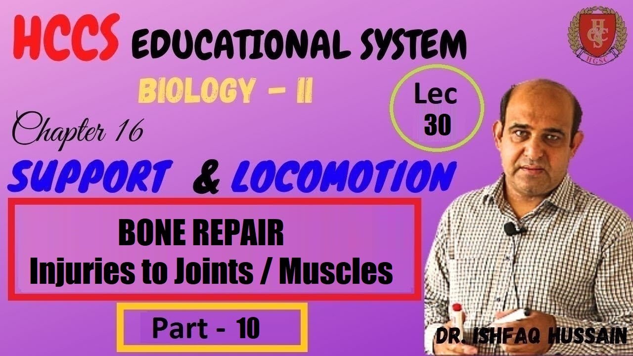 BONE REPAIR | Injuries to Joints | MUSCLES | Ch#16(Part 10) | BIO-II | Prof. ISHFAQ |LEC#30
