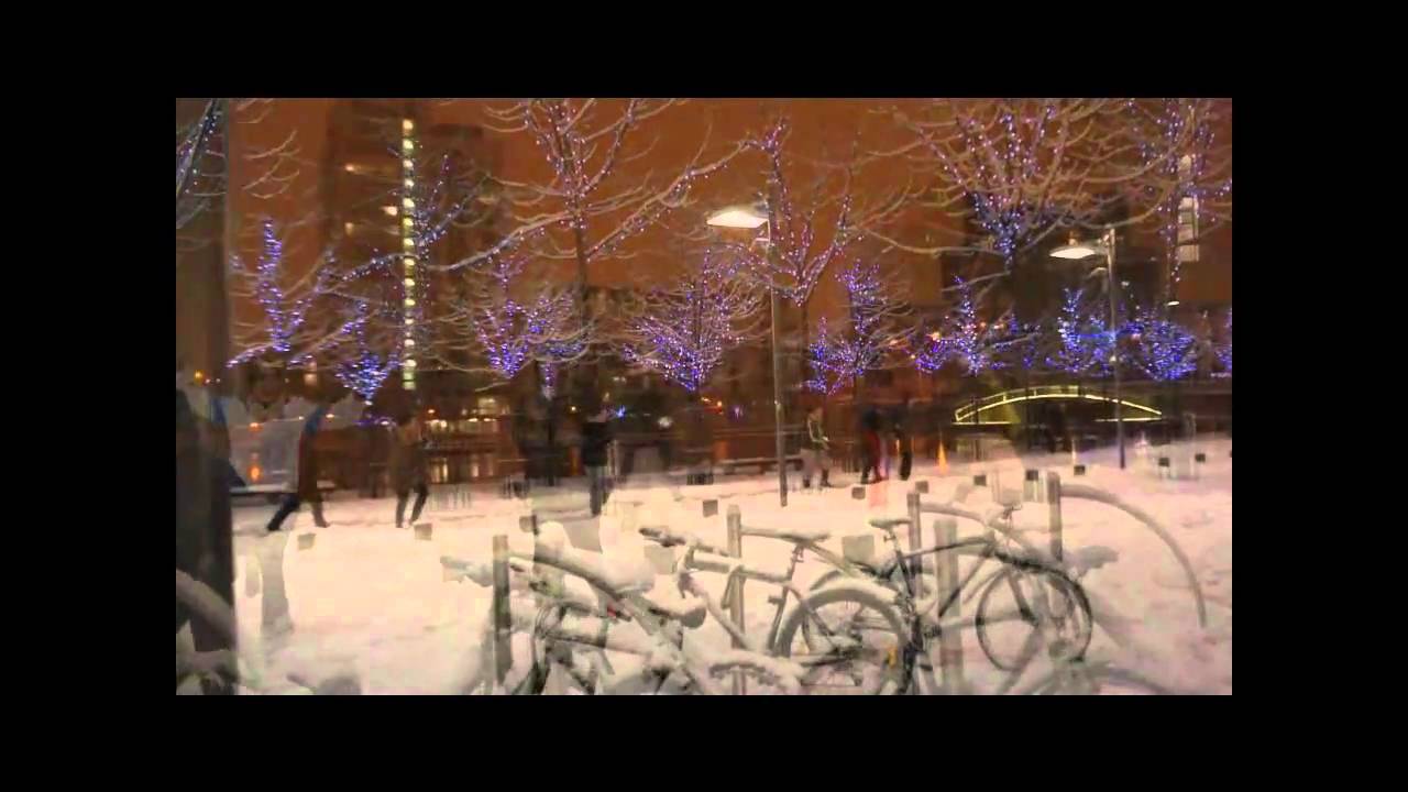 02/12/2010 - Snow in Dublin