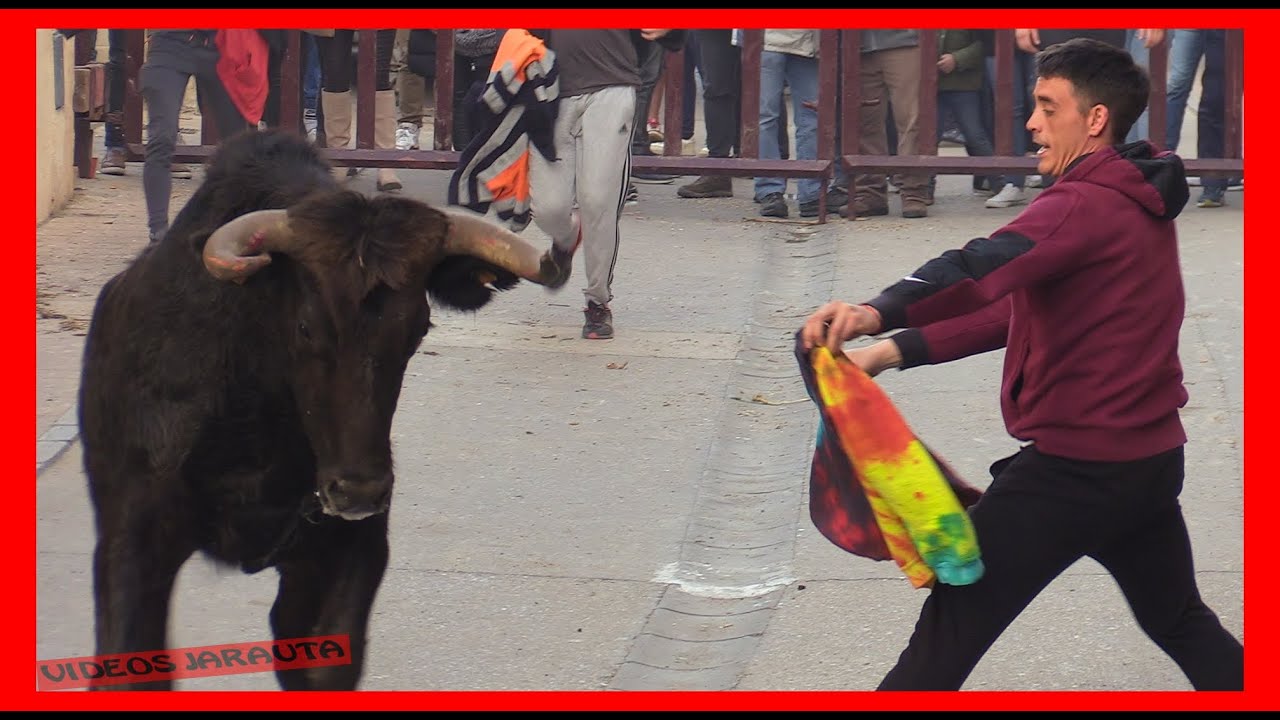 GALLUR ( ZARAGOZA ) TARDE VACAS CALLE ( DOMINGO 19 FEBRERO 2023 )  HNOS.VELA