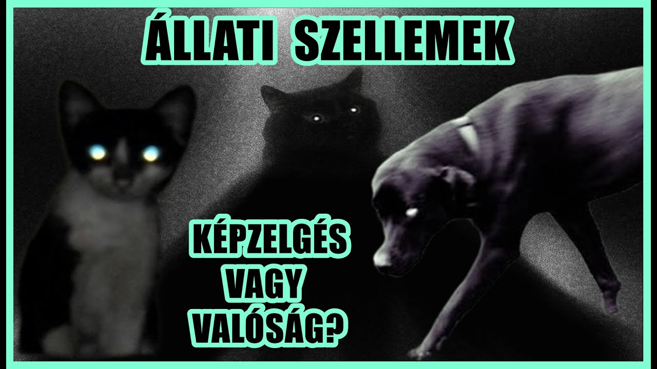 &Aacute;LLATI SZELLEMEK - K&Eacute;PZELG&Eacute;S vagy VAL&Oacute;S&Aacute;G ? - MI LEHET A MAGYAR&Aacute;ZAT? - A vil&aacute;g legbrut&aacute;labb 315.