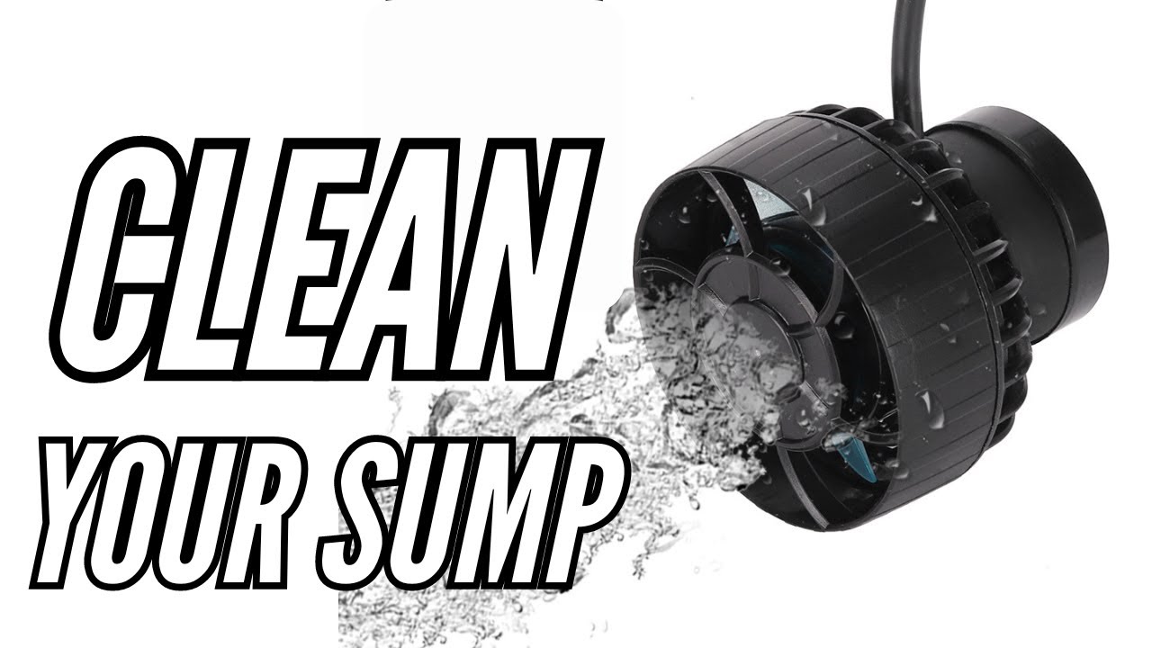 Lower nitrates in reef tank - Clean your saltwater tank sump easily