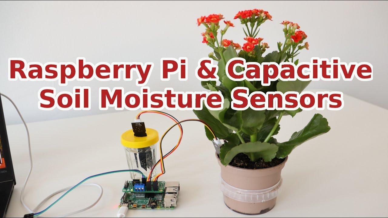 Raspberry Pi and Capacitive Soil Moisture Sensors for Gardening