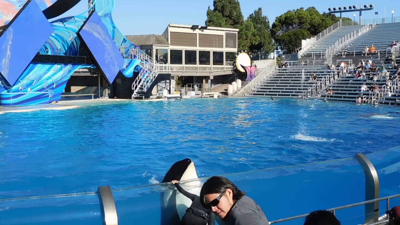 One Ocean with Corky and Ikaika - Interrupted Again - Seaworld San Diego Sept 14, 2016