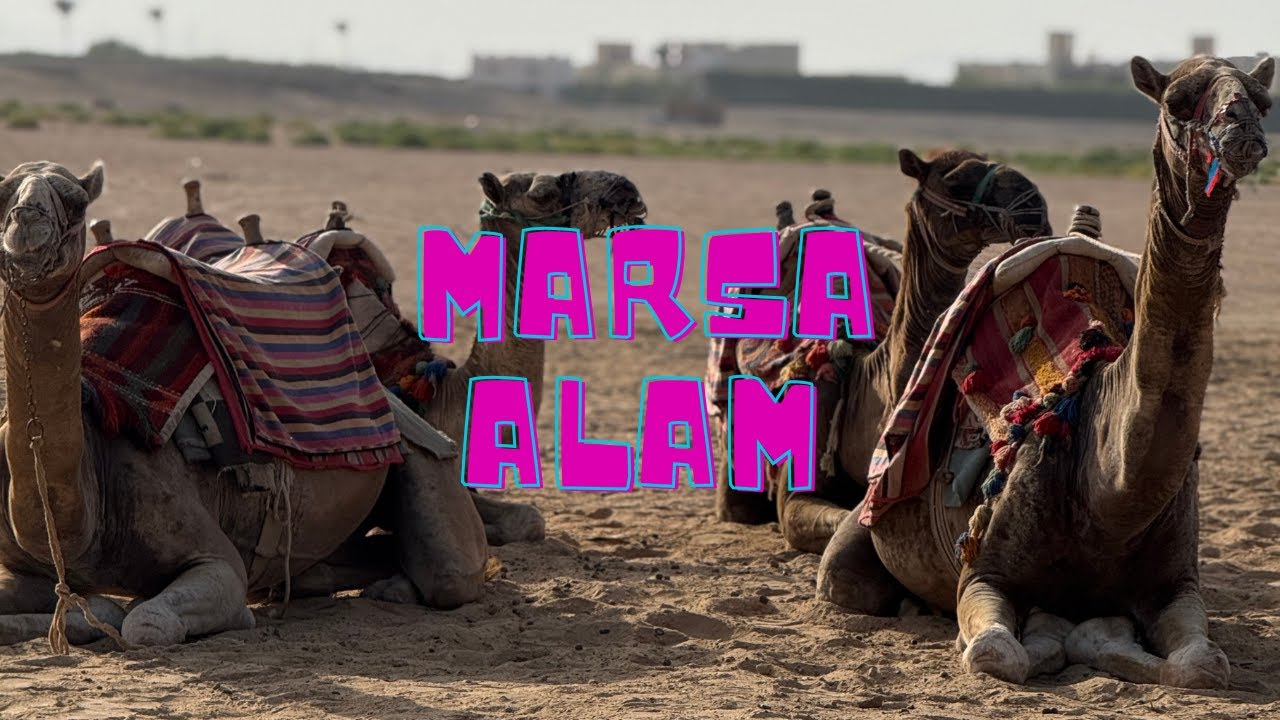 IL NOSTRO VIAGGIO IN EGITTO 2025