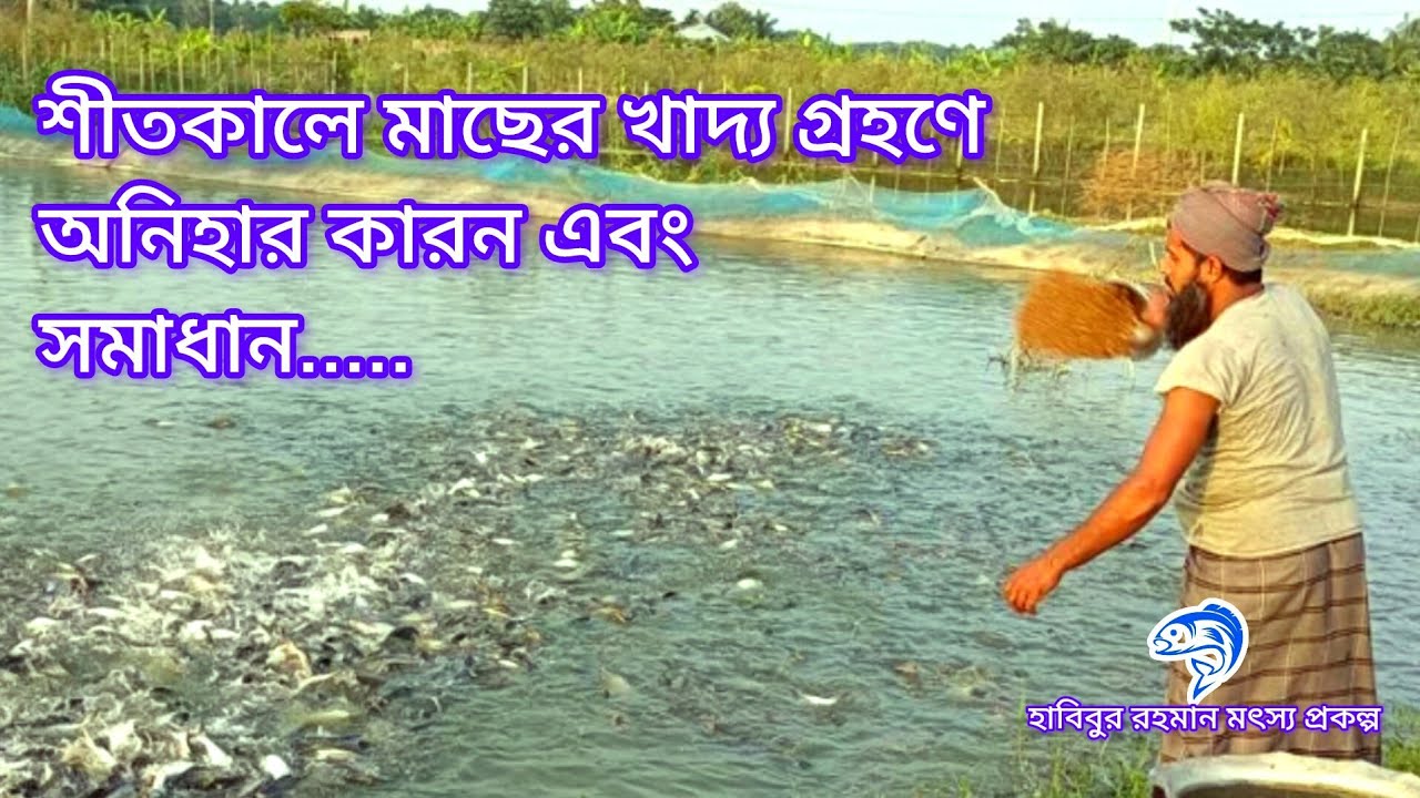 ৩৭৭.. শীতকালে মাছের খাদ্য গ্রহণে অনিহার কারন এবং সম্ভাব্য সমাধান। 