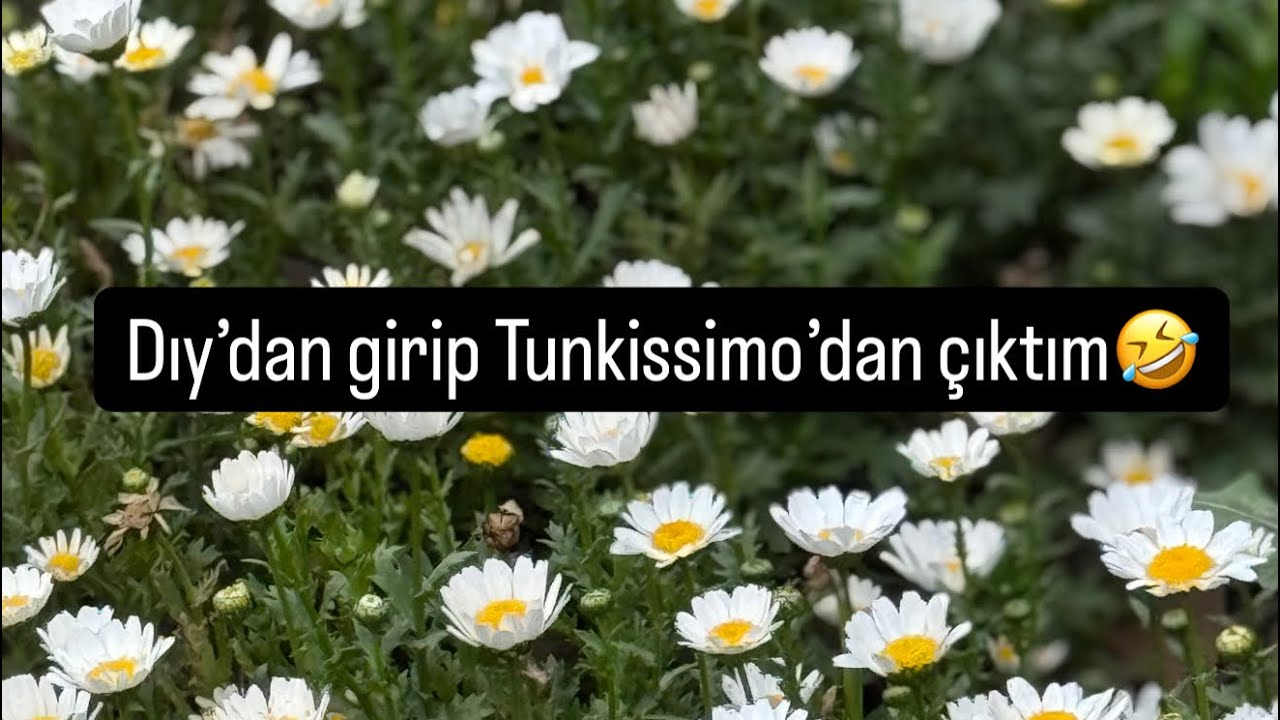Mr.Dıy diye yola çıkıp Tunkissimo’da buldum kendimi 🤣