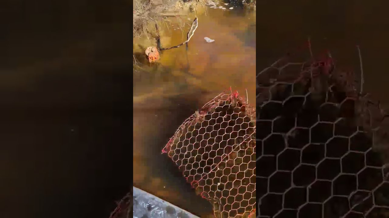 Lost Fishing Gear Recovery Project 2021-Crab Pot Removal