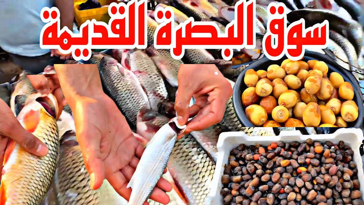 سوق البصرة القديمة أسعار الرطب والتمر والسمك بانواعه واشياء أخرى#أحمد_مهدي 