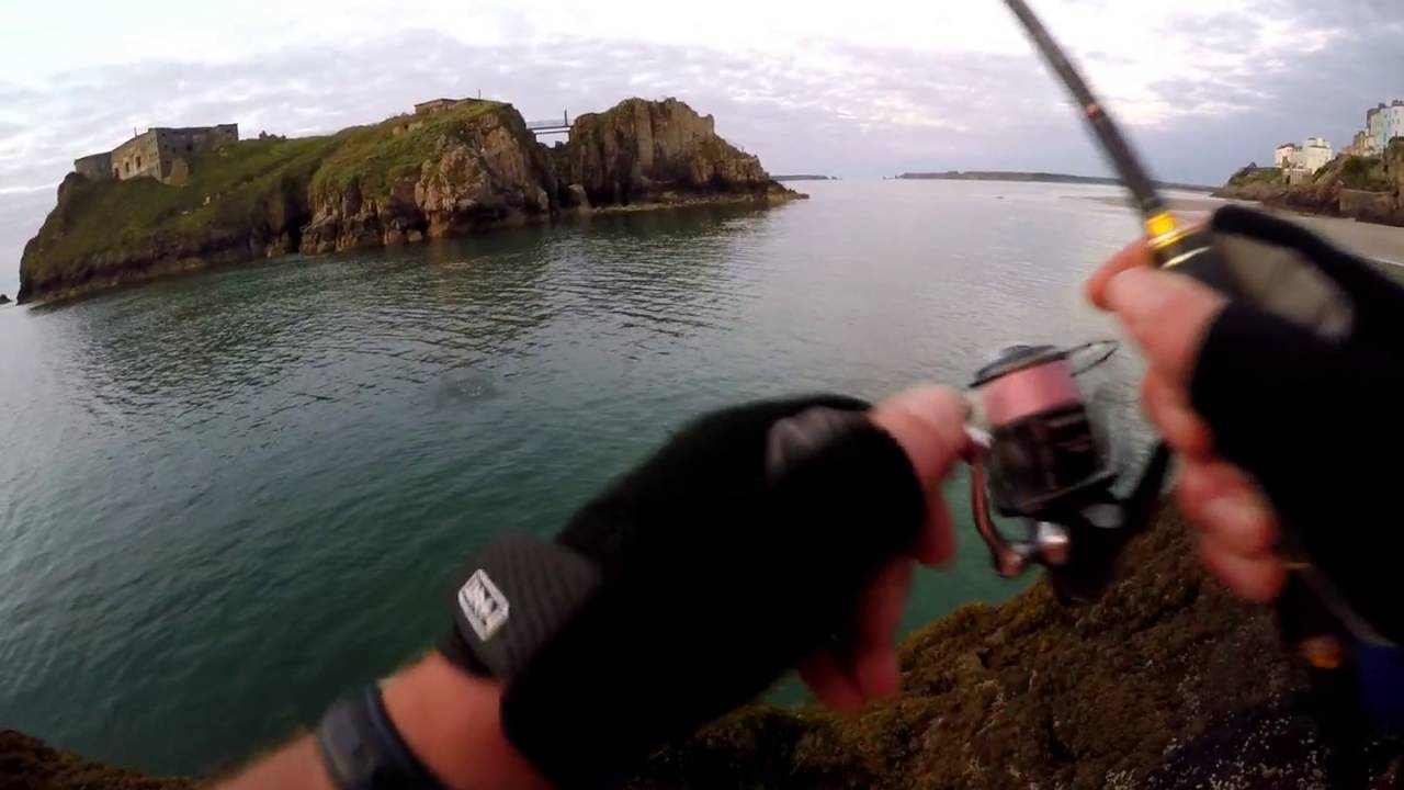 LRF FISHING TENBY MORNING EBBS