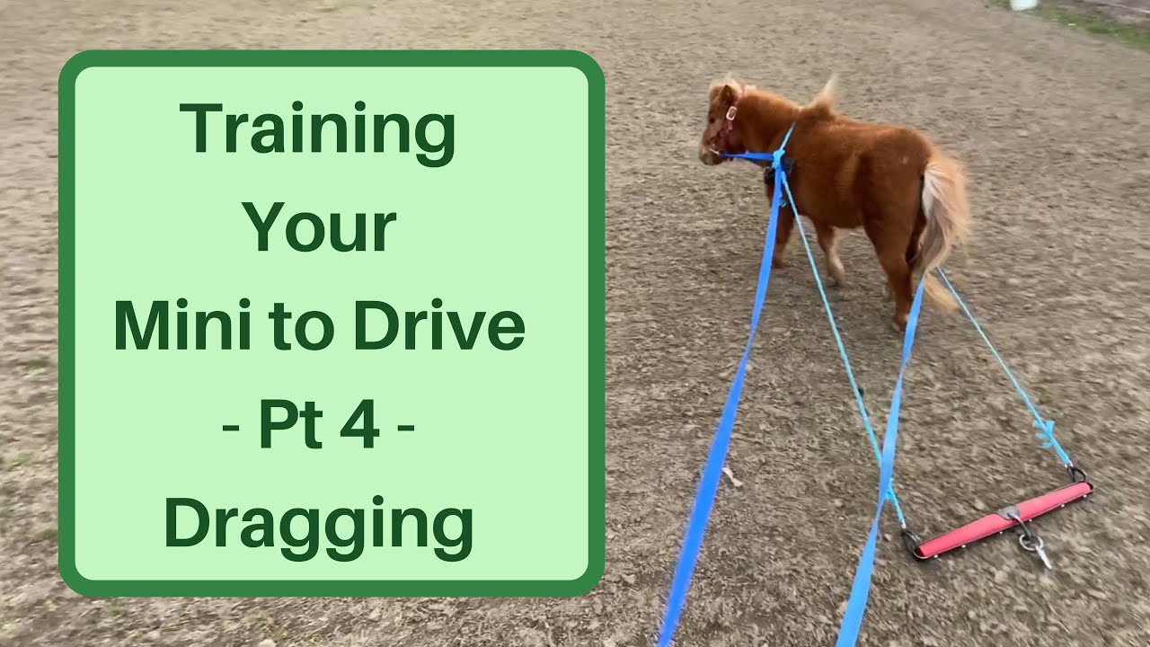 Train Your Mini to Drive -P4- Dragging