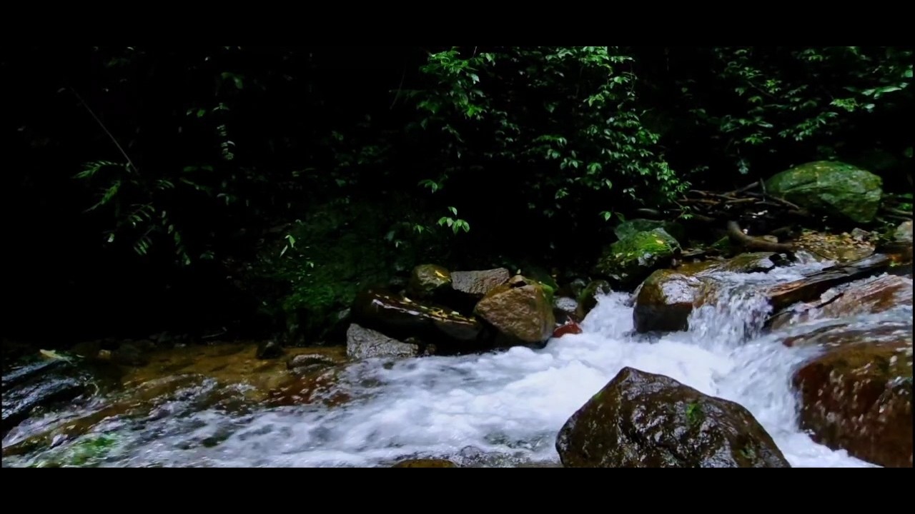 Deep Sleep River Sounds 🌊 Continuous Flowing Water (10 Hours)