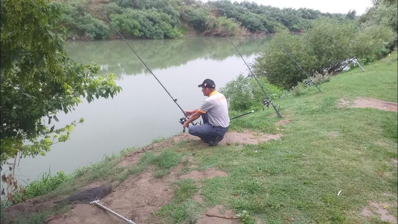 Pescuit cu uica Gore: încă un Fitofag de 6 kg scos în direct.