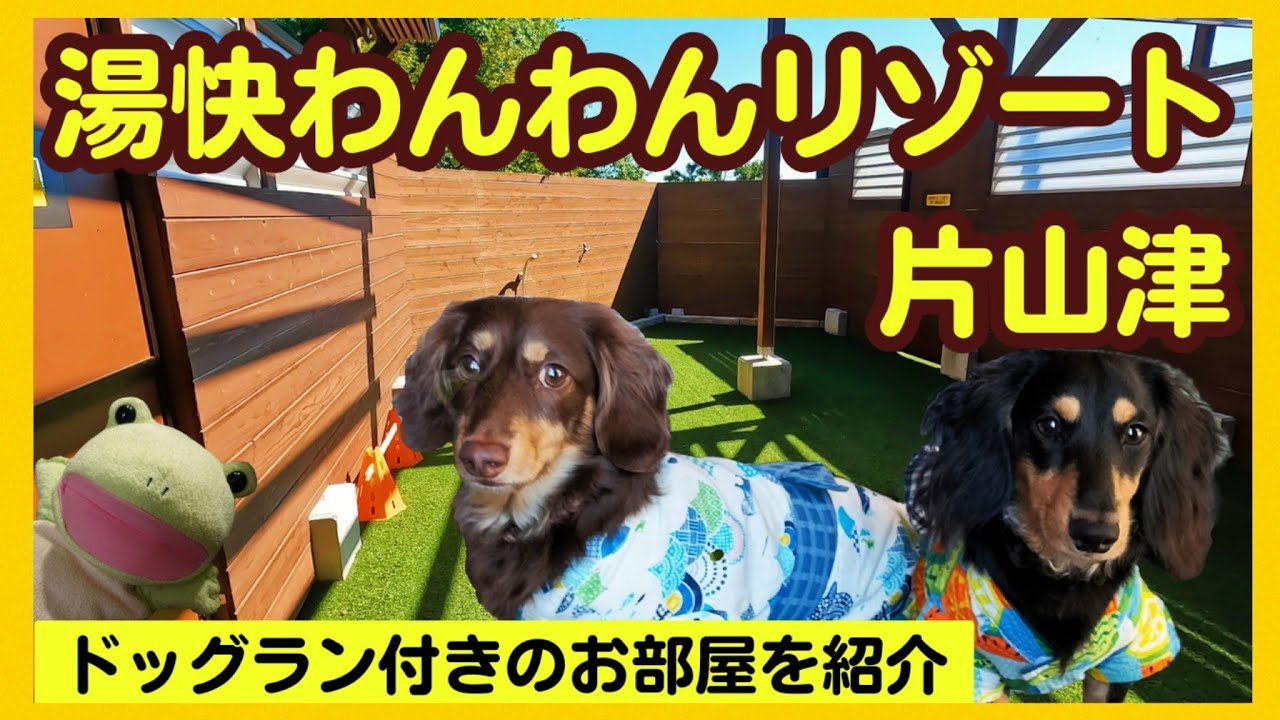 【ペットと泊まれる宿】湯快わんわんリゾート片山津さんを詳しく紹介。プライベートドッグランが凄いです【関西弁でしゃべる犬】