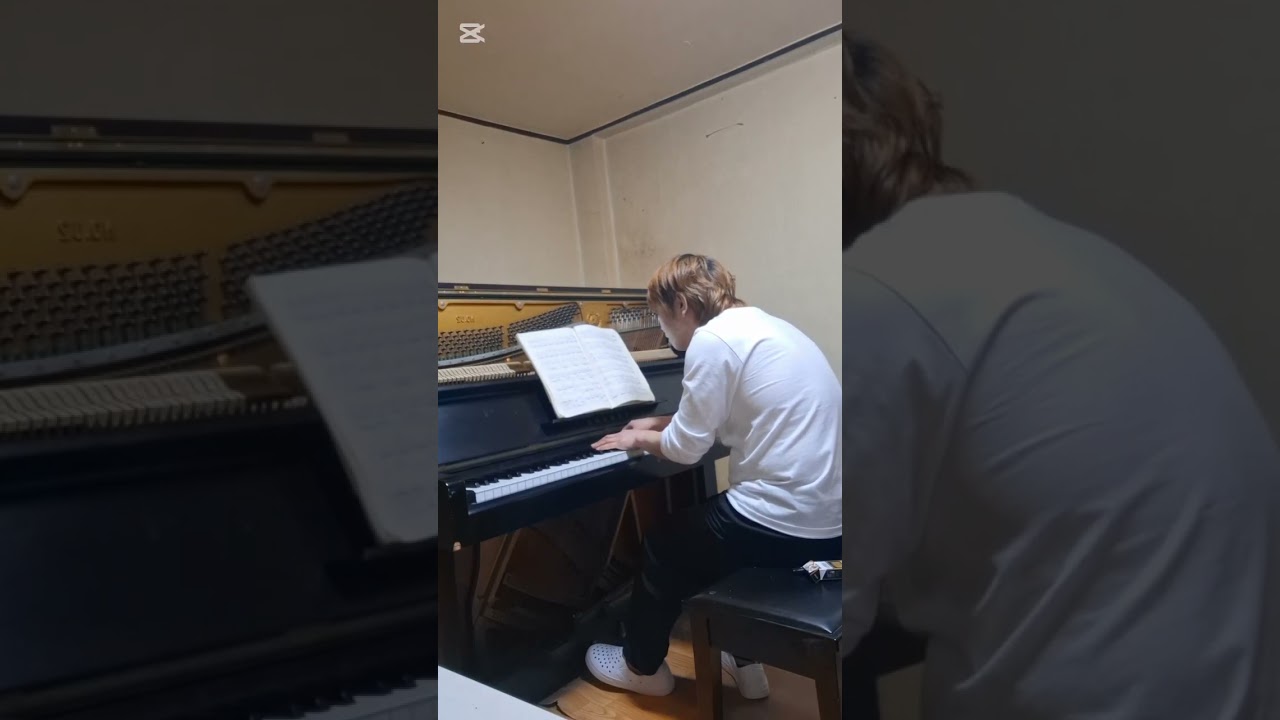 Chopin – Piano Sonata No.3 Largo | Piano