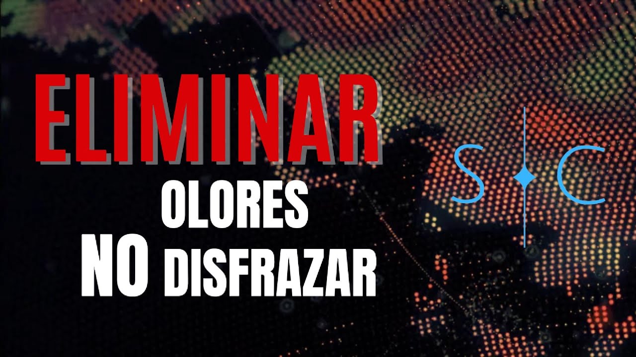 Elimina Olores de Autos Como un Experto: ClO₂ vs. Ozono