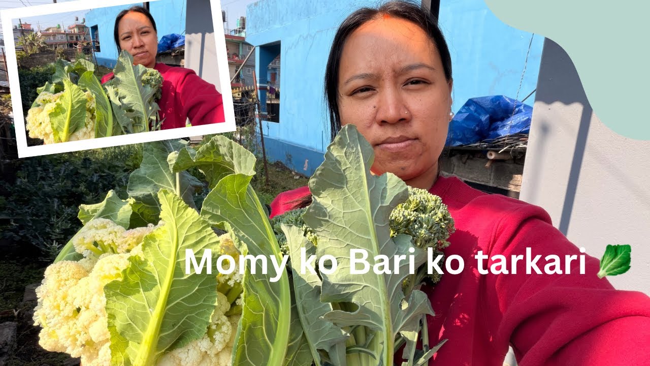 Yeklai Scooter ma hidda buda ko yadd aayo❤️(miss you❤️)vlog138