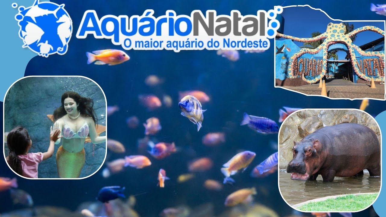 Aquário Natal - O maior Aquazoo do Nordeste | O que fazer em Natal, Rio Grande do Norte