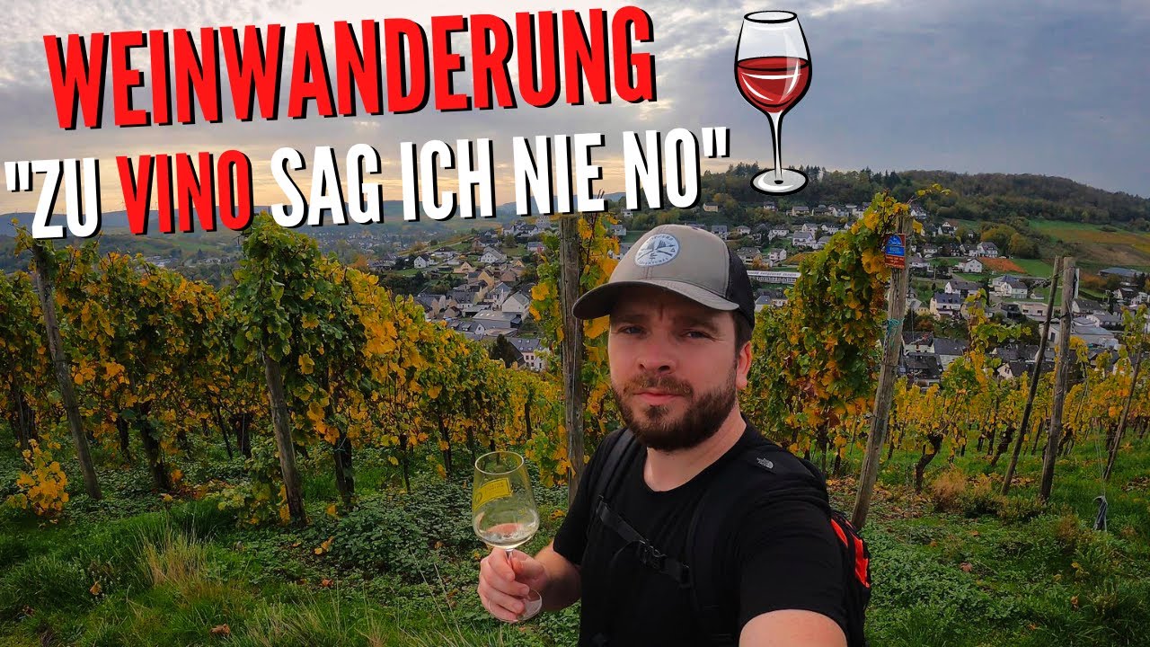 Weinwanderung in Berknastel-Kues🍷  / 15 Weine auf 16 km