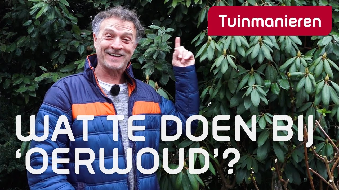 Welke keuzes maak je bij het snoeien | Snoeien | Tuinmanieren