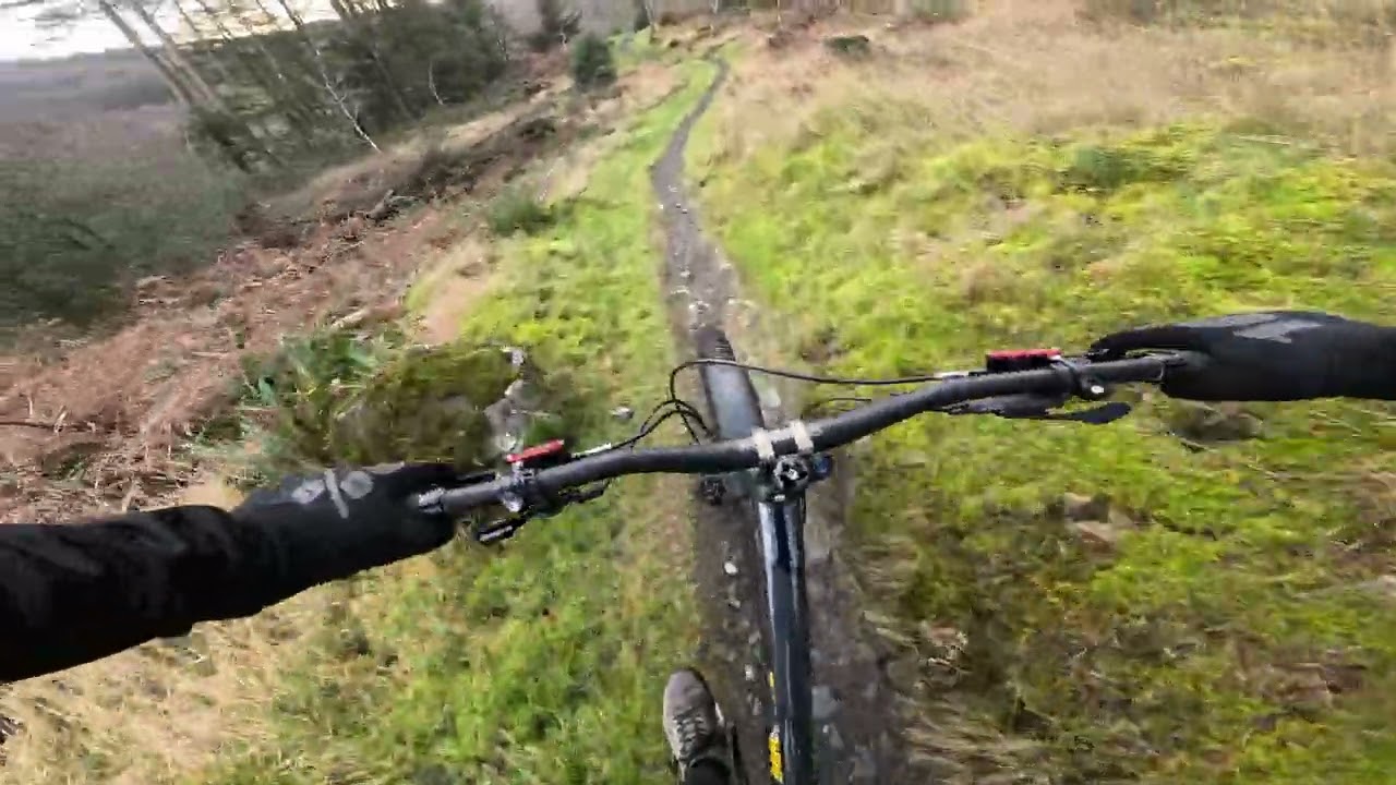 Kirroughtree - Jabberwocky