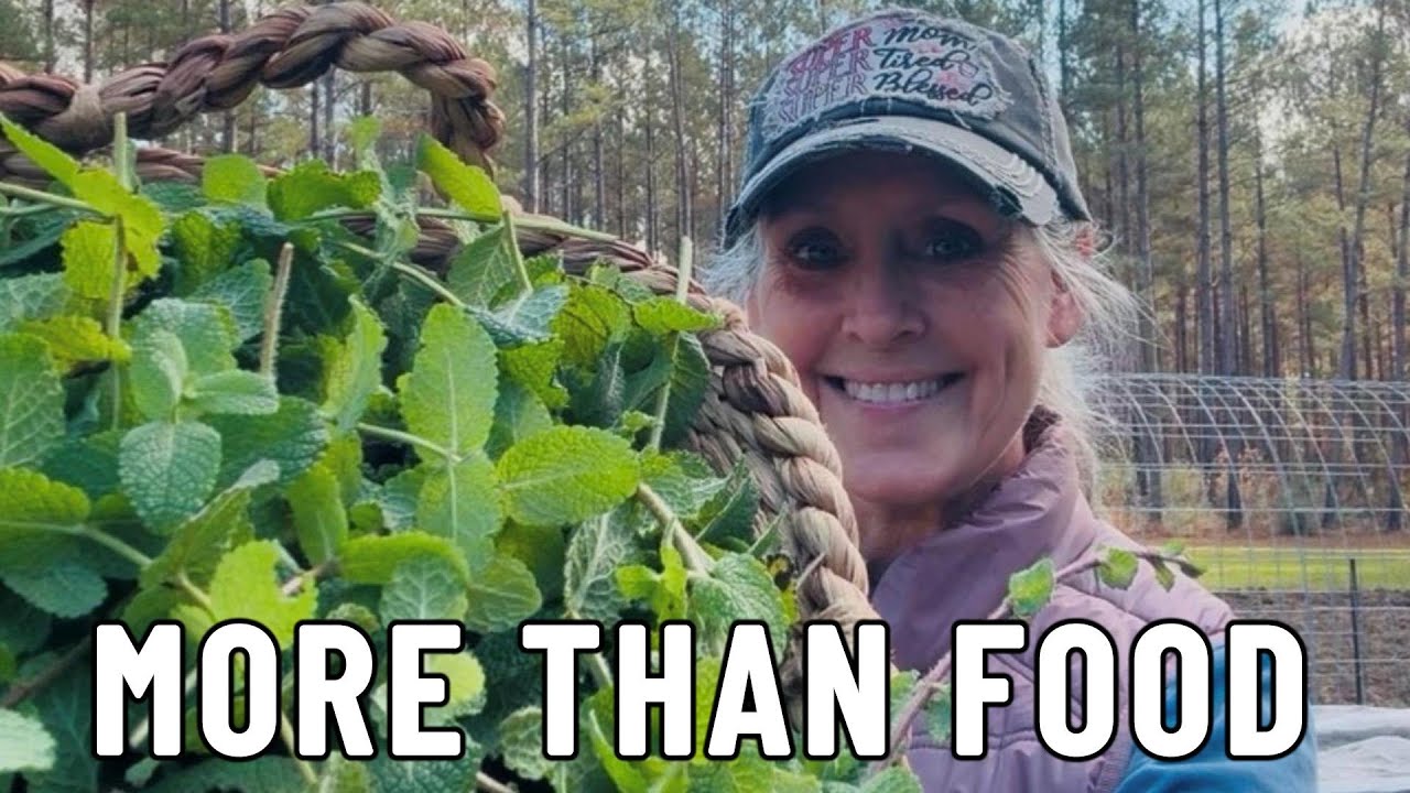 Мои 5 лучших трав для выращивания в медицинских целях.