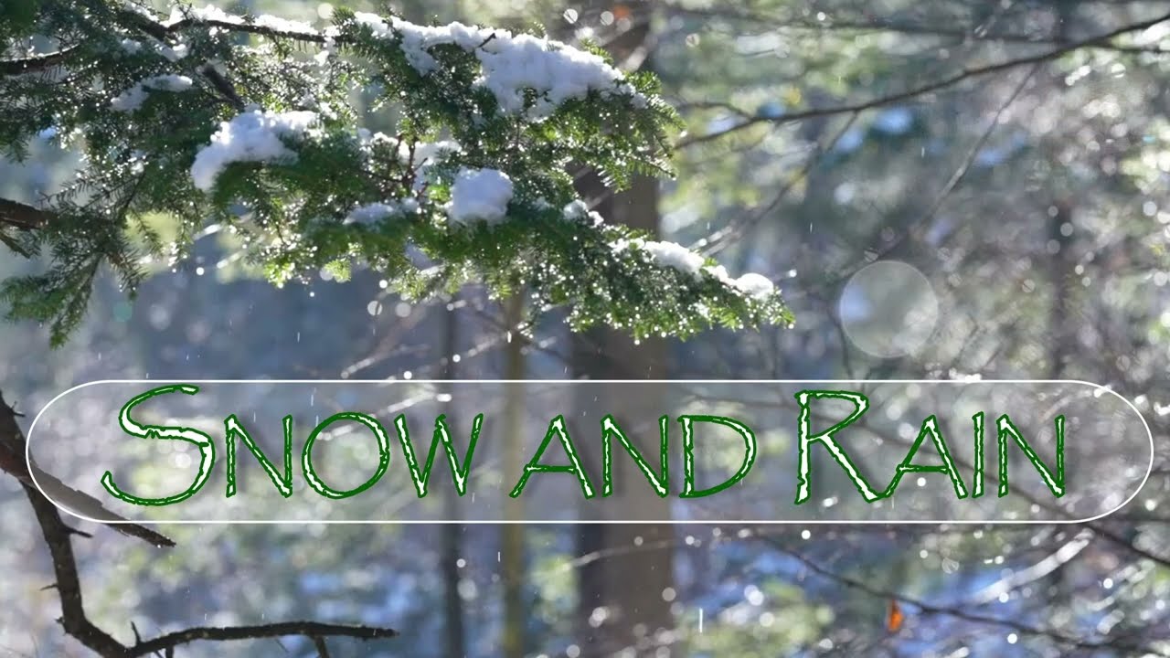 Snow and Rain 