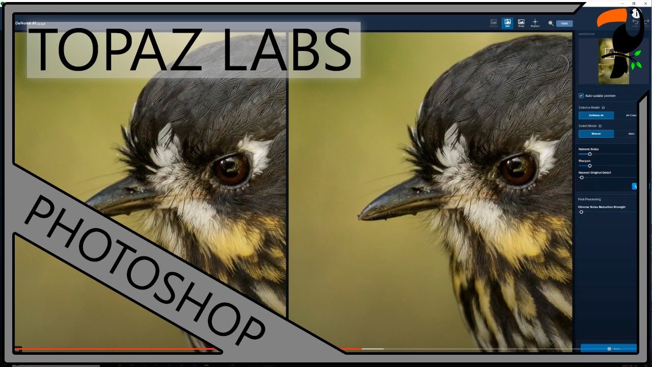 Topaz Denoise AI For Nature Photographers