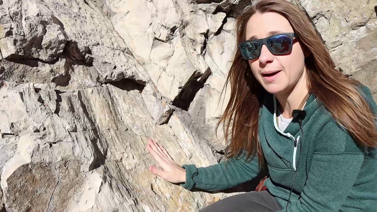 Taking Measurements on a fault