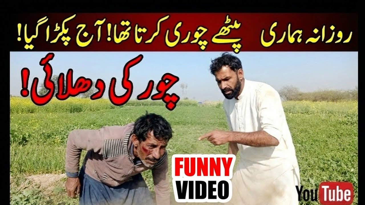 پنجابی کلچر کی مزاحیہ خوش گپیاں | پٹھے والا شغل 😂@Culture16g