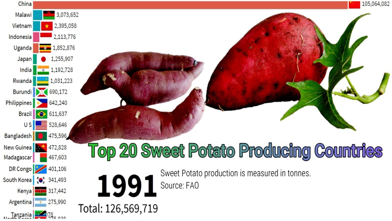 Top 20 Sweet Potato Producing Countries || Top 20 Sweet Potato Production Countries ||