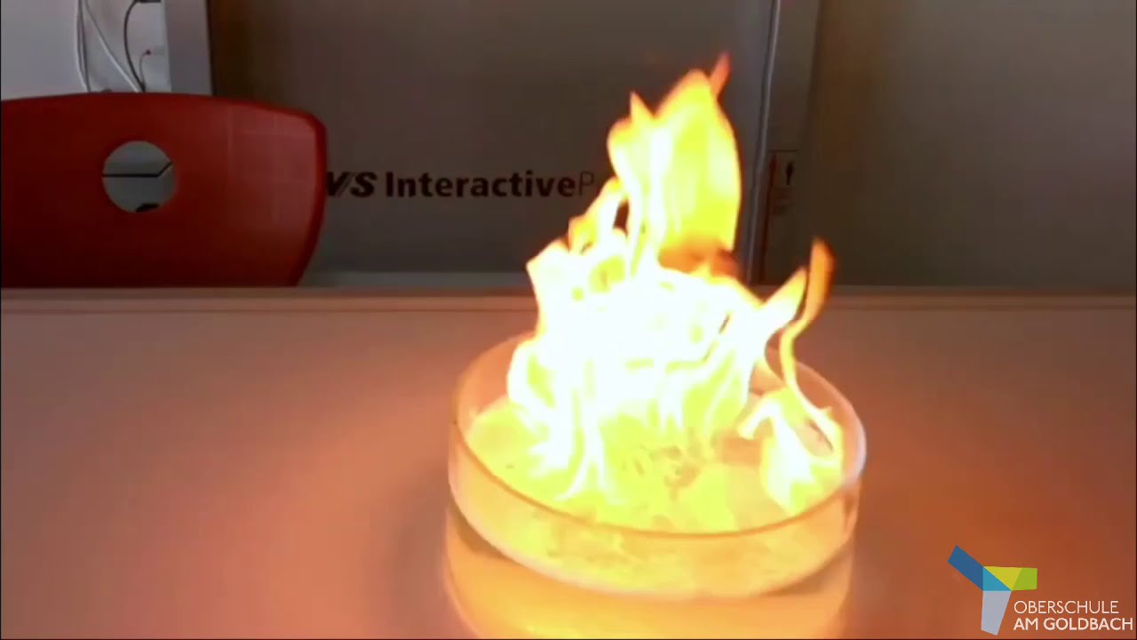 Trailer / Virtueller Tag der offenen Tür 2021 / Oberschule am Goldbach