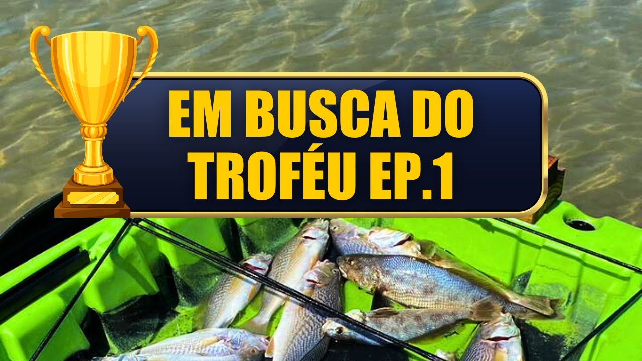 As Corvinotas Atacaram com força | Micro Jig