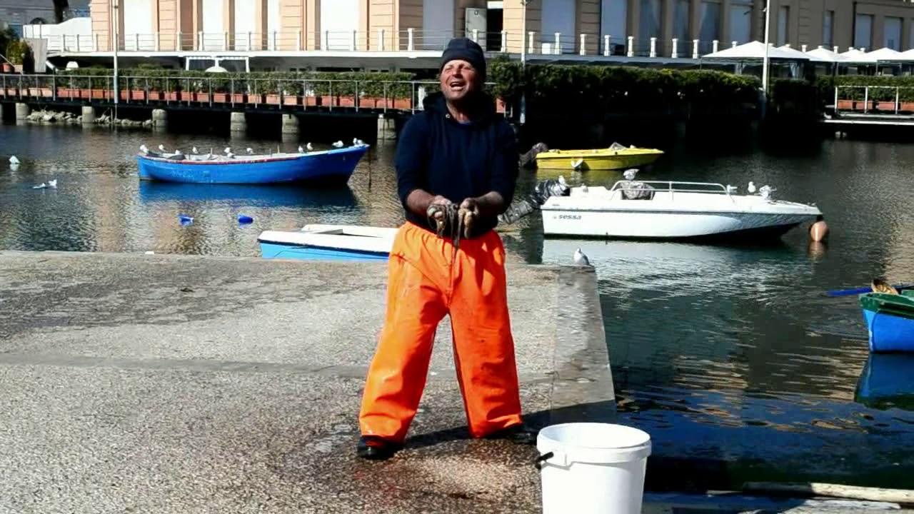 6 BARESE ALLORA CONDIVIDI  X FARE VEDERE LA NOSTRA BARI..