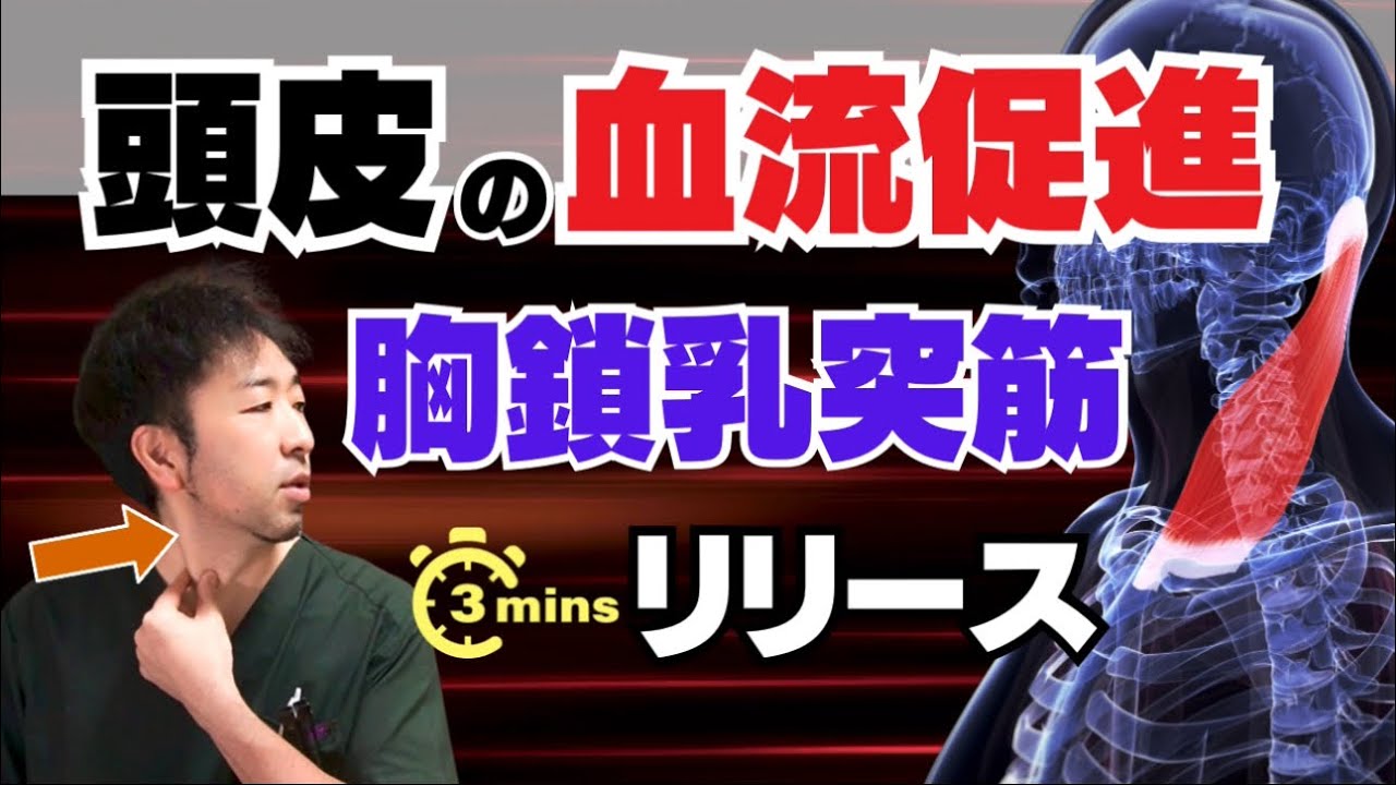 【薄毛対策】頭皮の血流を根本から増やす！首コリ解消の簡単セルフ胸鎖乳突筋マッサージ