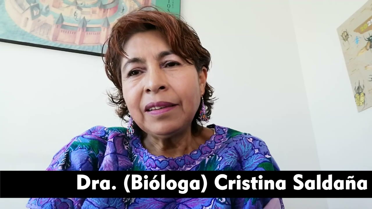Día internacional de la mujer y la niña en la Ciencia