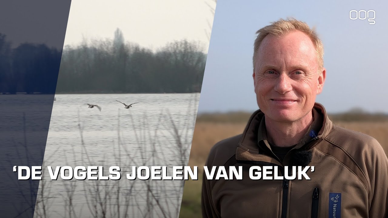 De natuur ontwaakt vroeg in de Onlanden