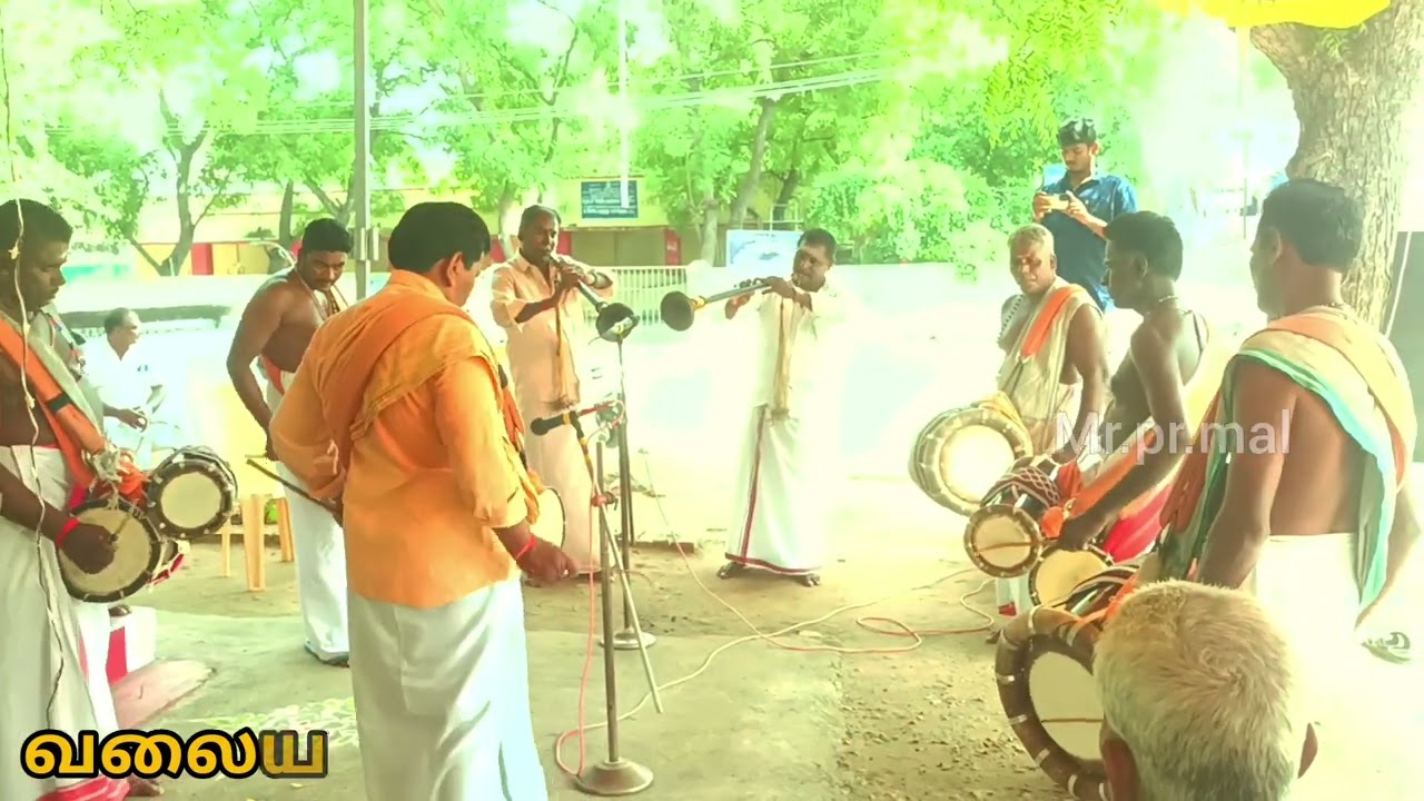சித்தாடை கட்டிக்கிட்டு சிங்காரம் பண்ணிக்கிட்டு|| நையாண்டி மேளம்|| வலையங்குலம்