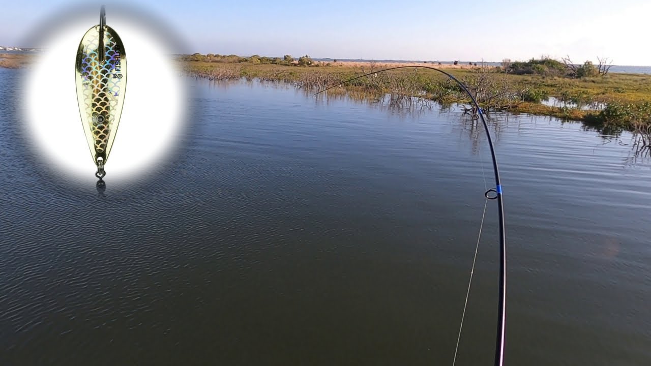 1/4 Ounce Gold Spoon Redfish Aransas Pass Texas