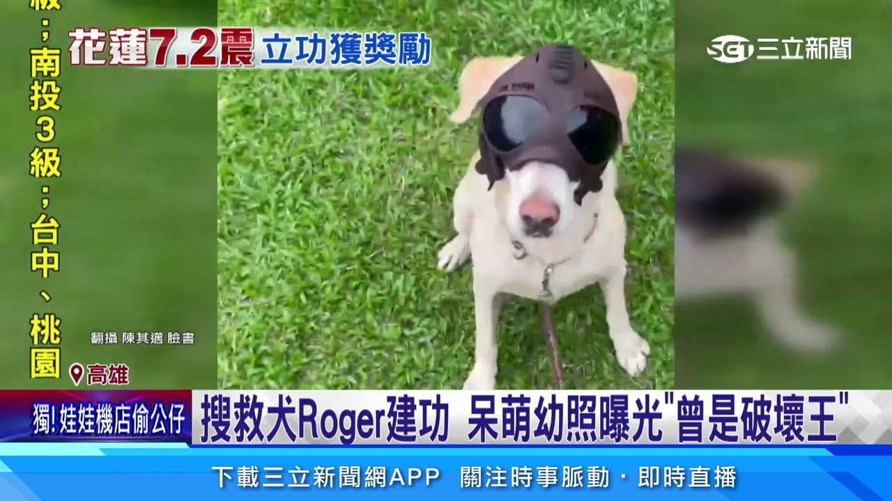 高雄搜救隊任務結束 搜救犬Roger爆咬新玩具｜三立新聞網 SETN.com