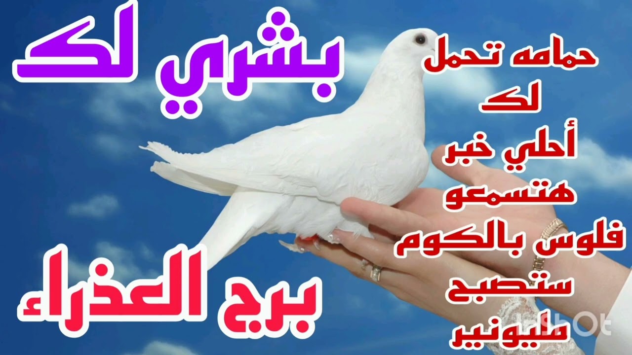 برج العذراء بشري لك 💫 حمامه تحمل لك أحلي خبر هتسمعو 💥 فلوس بالكوم 💫 ستصبح مليونير