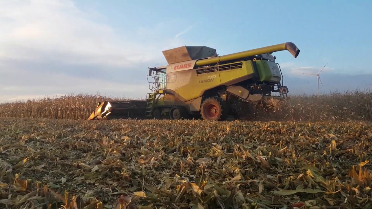 ☆Żniwa 2019 Na Wielką Skalę☆ - 2x CLAAS Lexion 770TT㋡Xerion 5000㋡CASE Magnum㋡3x JohnDeere✔Kukurydza✔